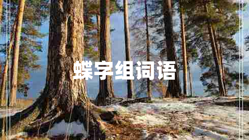 蝶字組詞語(yǔ)