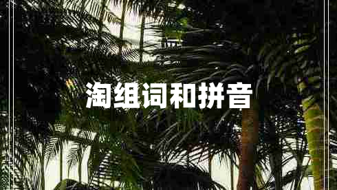 淘組詞和拼音