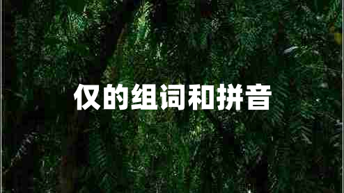 僅的組詞和拼音