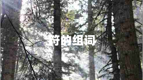 符的組詞 符的組詞