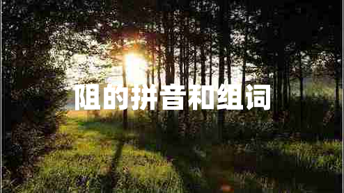 阻的拼音和組詞