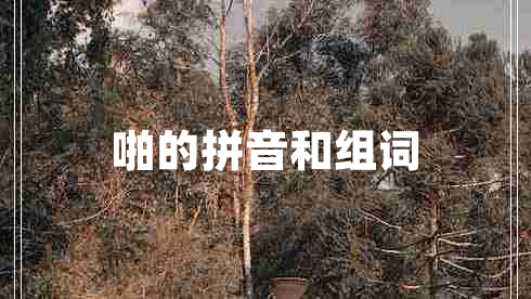 啪的拼音和組詞