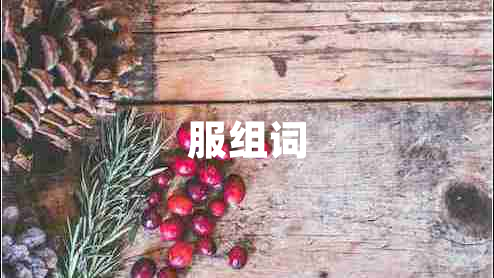 服組詞 服組詞