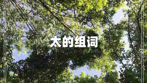 太的組詞