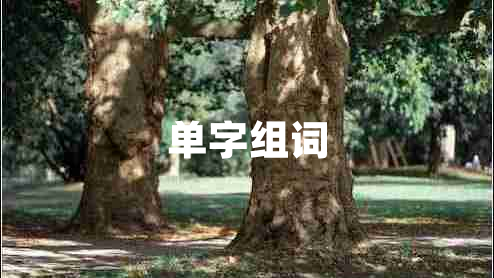 單字組詞 單字組詞