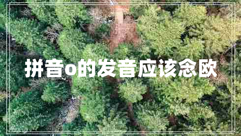 拼音o的發(fā)音應(yīng)該念歐