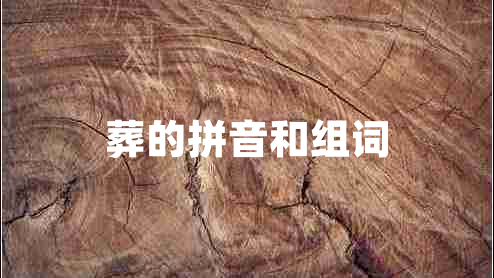 葬的拼音和組詞 葬的拼音和組詞