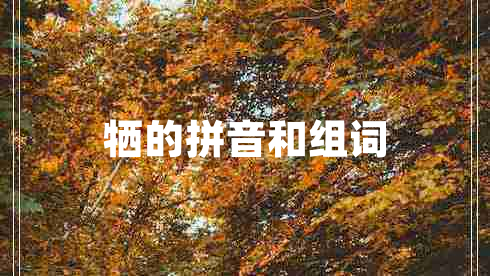 犧的拼音和組詞