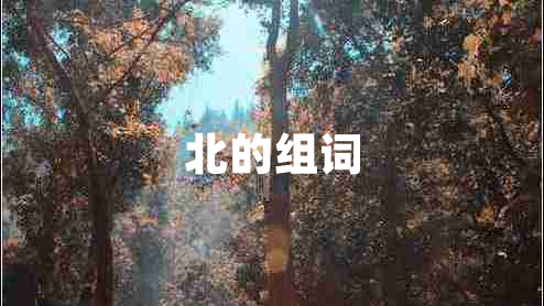 北的組詞 北的組詞