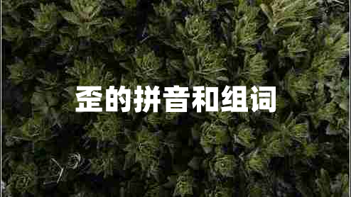 歪的拼音和組詞