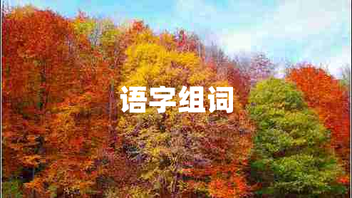 語字組詞 語字組詞