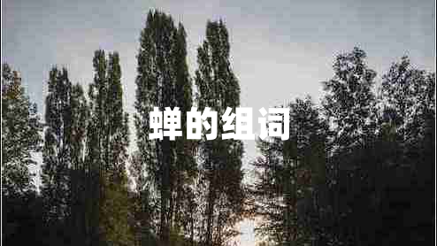 蟬的組詞 蟬的組詞