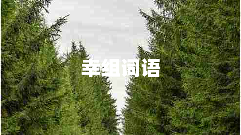 幸組詞語 幸組詞語