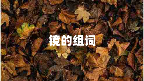 鏡的組詞 鏡的組詞