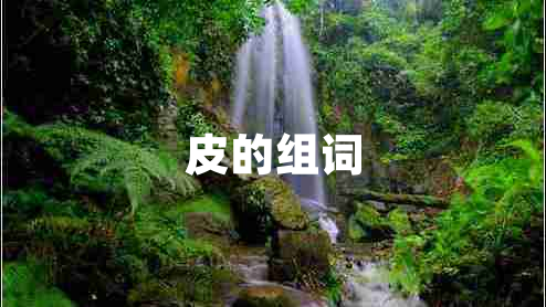 皮的組詞