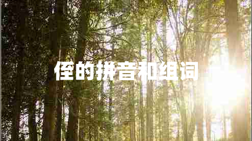 侄的拼音和組詞