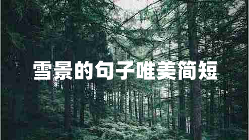 雪景的句子唯美簡(jiǎn)短