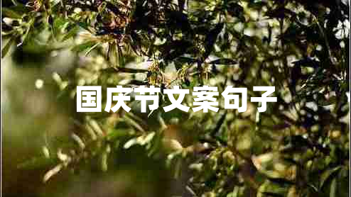 國(guó)慶節(jié)文案句子