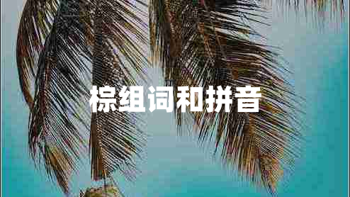 棕組詞和拼音