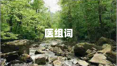 醫(yī)組詞 醫(yī)組詞
