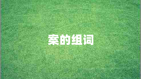 案的組詞