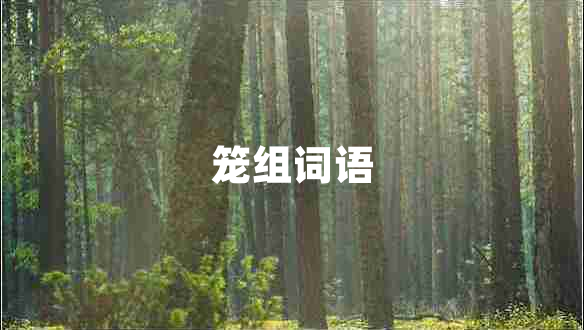 籠組詞語(yǔ)
