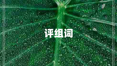 評組詞 評組詞