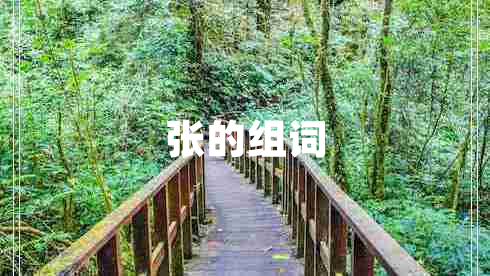 張的組詞 張的組詞
