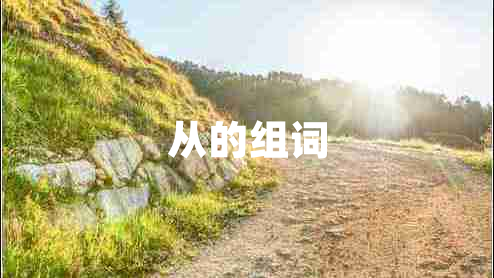 從的組詞 從的組詞