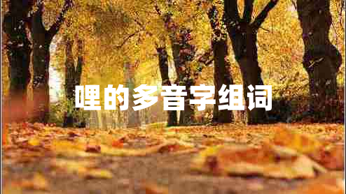 哩的多音字組詞