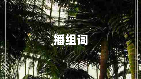 播組詞 播組詞