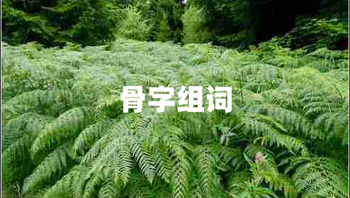 骨字組詞 骨字組詞
