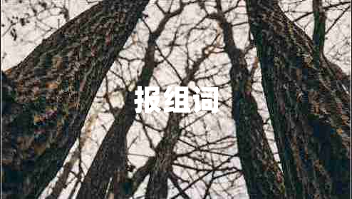 報(bào)組詞