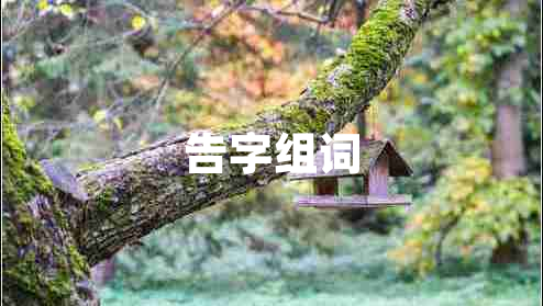 告字組詞 告字組詞