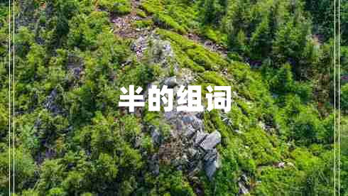 半的組詞 半的組詞