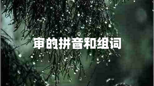 審的拼音和組詞 審的拼音和組詞