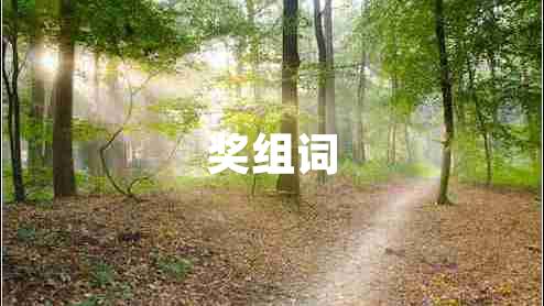 獎組詞