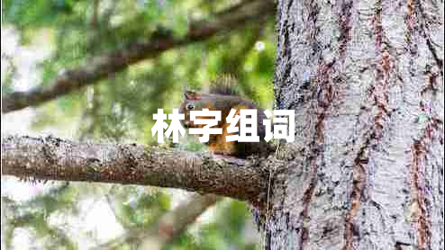 林字組詞