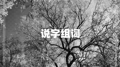 說字組詞 說字組詞