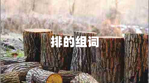 排的組詞 排的組詞