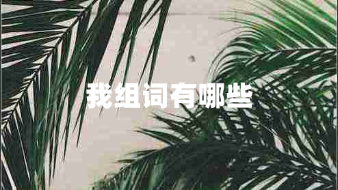 我組詞有哪些