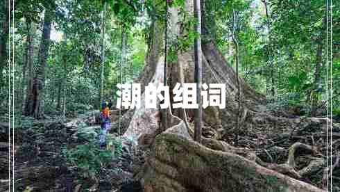 潮的組詞 潮的組詞