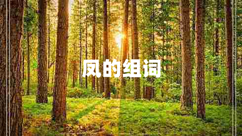 鳳的組詞 鳳的組詞