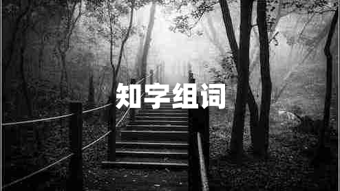 知字組詞 知字組詞