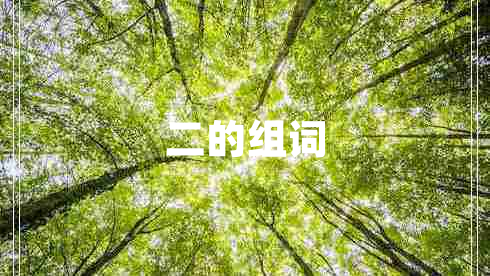 二的組詞 二的組詞