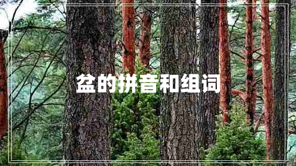 盆的拼音和組詞 盆的拼音和組詞