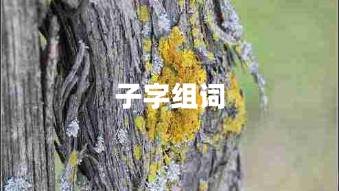 子字組詞 子字組詞