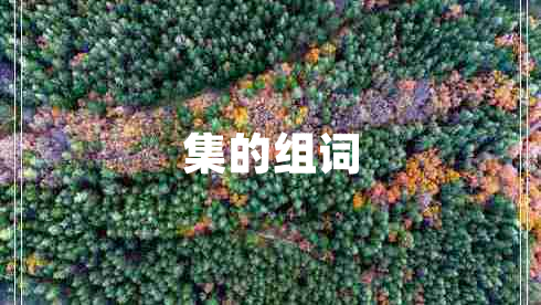 集的組詞 集的組詞