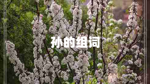 孫的組詞 孫的組詞