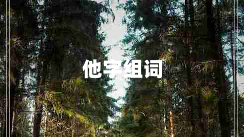 他字組詞 他字組詞